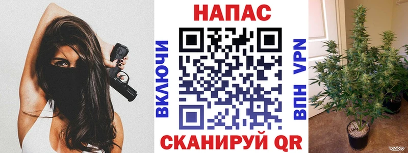 Шишки марихуана SATIVA & INDICA  Дорогобуж 